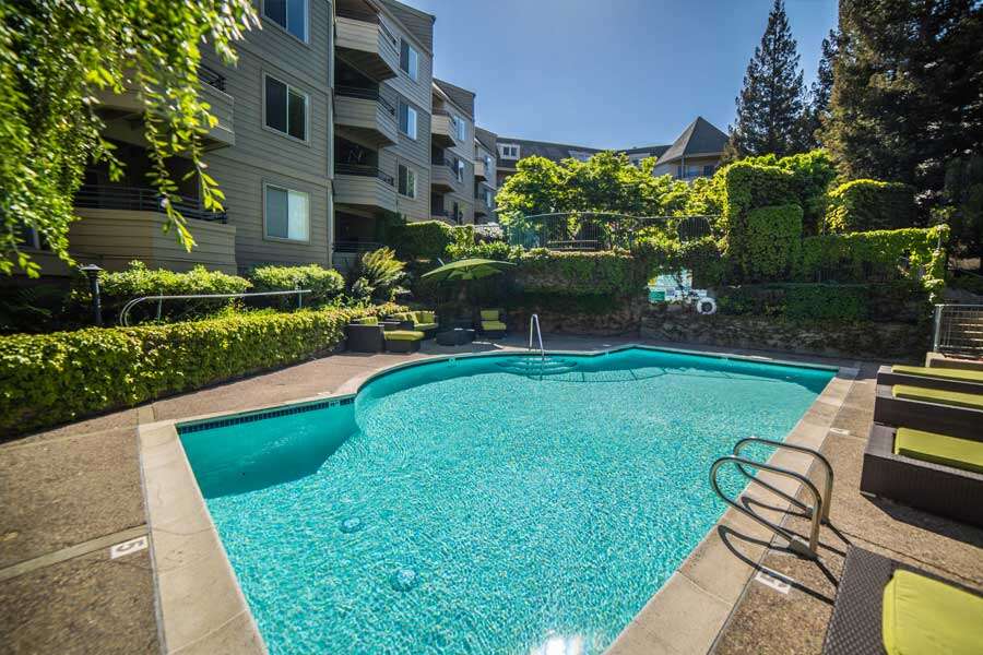 Pool and beautiful landscaping at our apartments in Walnut Creek, CA.